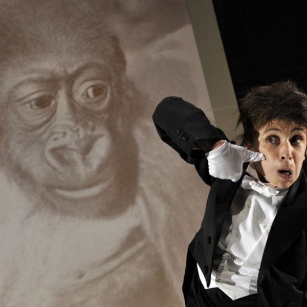 kafka_monkey_01.jpg